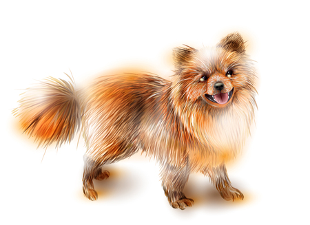 Illustration of dog, symbol of the Chinese calendar 2018.のイラスト素材