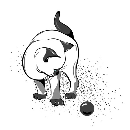 thai kitten playing with ballのイラスト素材