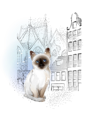 lonely thai kitten waiting for the owners in winter cityのイラスト素材