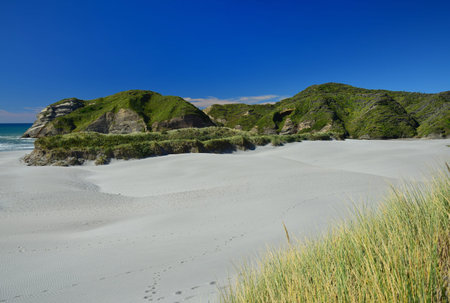 Beautiful New Zealand landscape at Wharariki beach with rocks and a wonderful sand beach. South Island.の写真素材