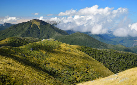 Beautiful mountain landscape with Mount Arthur. Kahurangi National Park, New Zealand, South Island.の写真素材
