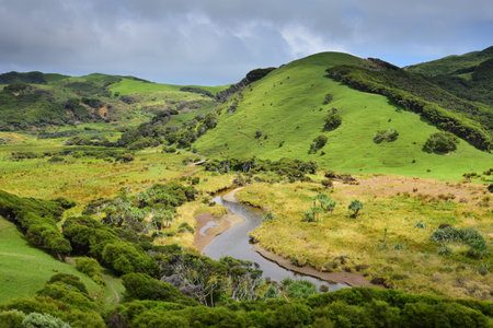 Beautiful landscape near the Puponga farm track. The sun coming out under a cloudy sky. New Zealand,...