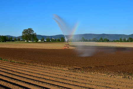 Sprinkler irrigation of a field due to dryness. Dry and wet soil and a little rainbow next to the...
