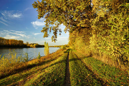 A beautiful autumn day at river Rhine. A path leading along the river. Germany, Baden-Wurttemberg.の写真素材