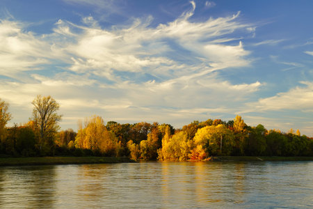 A beautiful autumn evening at river Rhine. Bright colorful trees on the other side of the river. Germany, Baden-Wurttemberg.の写真素材