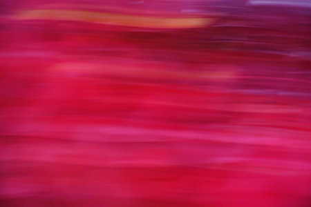 A colorful pattern. The picture is taken blurred by panning the camera. Red vine leaves in autumn.