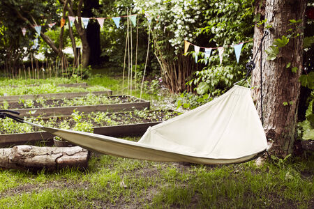 Hammock in a gardenの写真素材
