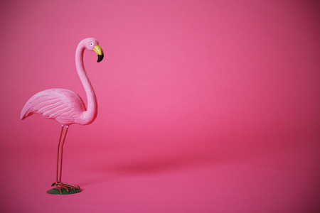 Kitsch pink flamingo in studioの写真素材