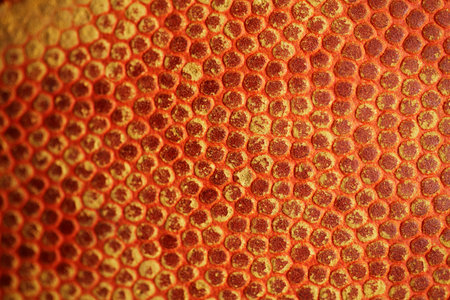 Close up of old basketball surfaceの写真素材