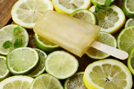 Refreshing ice lolly on lemon and lime slicesの写真素材