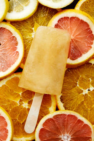 Ice lolly on orange and grapefruit slicesの写真素材