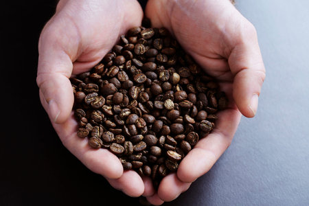 Woman holding heap of fresh coffee beansの写真素材