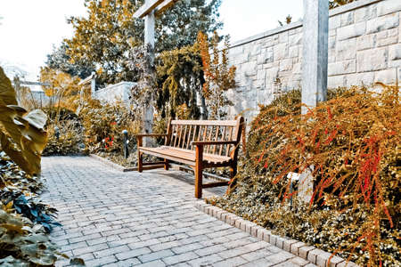 bench on a parkの写真素材
