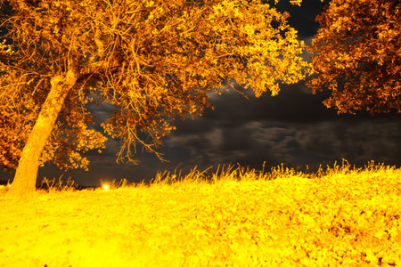 Nightscapeの写真素材