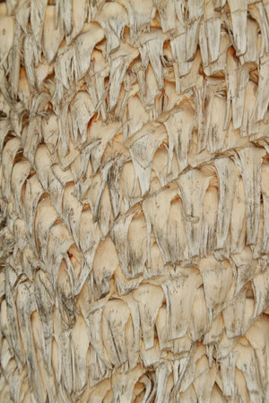 textureの写真素材