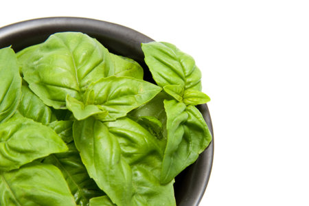 Black bowl with fresh basil leaves isolated on white backgroundの写真素材