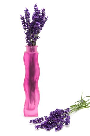 Plucked lavender in pink glass vase over white backgroundの写真素材
