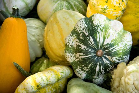 All kinds of colorful gourds