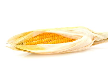 an ear of mais corn with the husks still on isolated on white backgroundの写真素材
