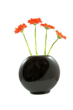 Four red Gerber flowers in black vase isoalted on white backgroundの写真素材