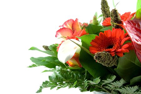 Beautiful bouquet of red flowers in vase over white backgroundの写真素材