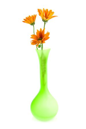 Orange daisy flowers in green vase over white backgroundの写真素材