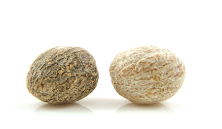 Two fresh nutmeg isolated on white backgroundの写真素材