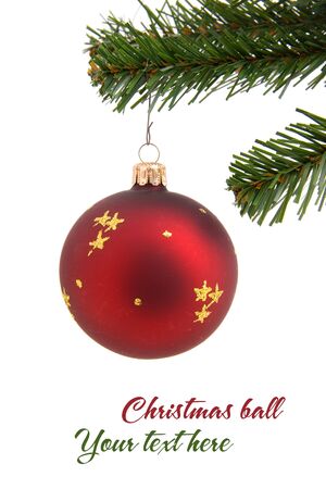 Red christmas ball in tree with room for text isolated on white backgroundの写真素材