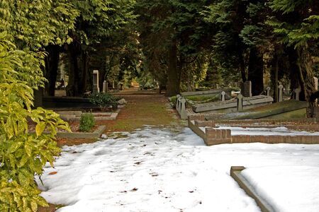 graveyard in the middle of the winter, covered with snowの写真素材