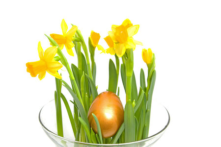 Yellow Daffodil flower in glass vase with golden easter egg over white background