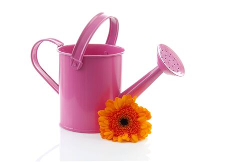 Pink watering can with orange gerber flower  isolated on white backgroundの写真素材