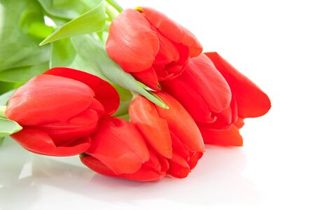 Bouquet of red tulips over white backgroundの写真素材