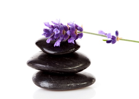 stacked black steping stones and lavender flower over white backgroundの写真素材