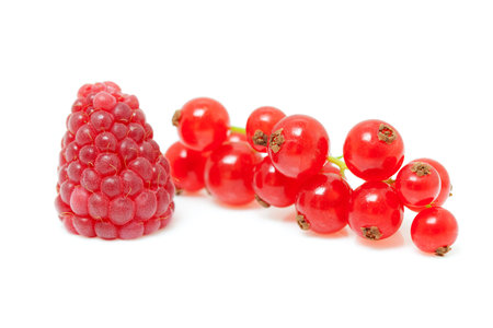 one raspberry and red currant berries in closeup over white backgroundの写真素材