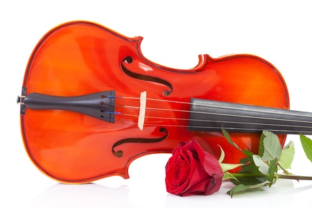 Violin and rose in closeup over white backgroundの写真素材