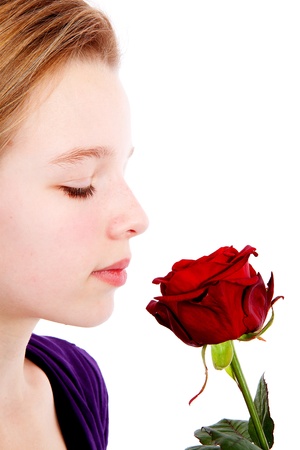 young girl smelling a red rose in closeup over white backgroundの写真素材