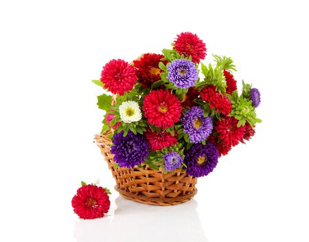 colorful Asters flowers in cane basket over white backgroundの写真素材