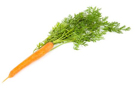 One fresh carrot with leaf over white backgroundの写真素材