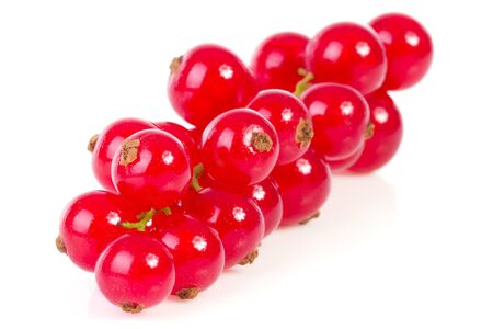bunch of red currant berries in closeup over white backgroundの写真素材
