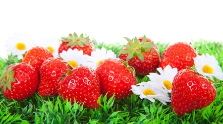 Fresh strawberries on grass over white backgroundの写真素材