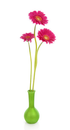 Three pink Gerber flowers in green vase over white backgroundの写真素材