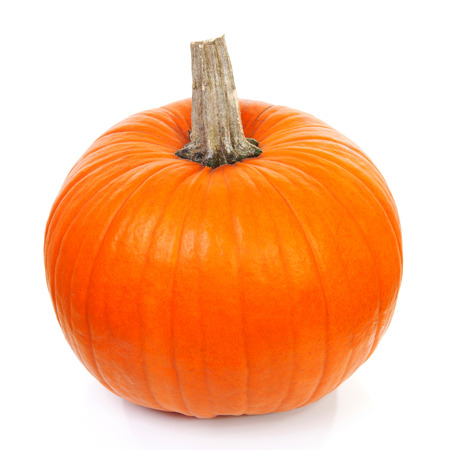 big orange pumpkin isolated on white backgroundの写真素材