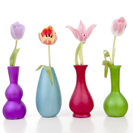Dutch tulips in colorful vases in a row over white backgroundの写真素材