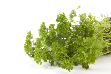 Fresh parsley in closeup over white backgroundの写真素材