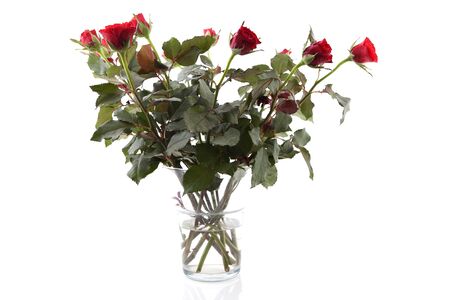 Bouquet of red roses in glass vase over white backgroundの写真素材
