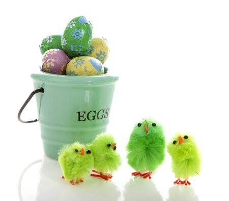Green easter decoration with eggs and chickens over whiteの写真素材