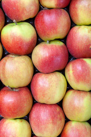 Background of fresh apples in closeupの写真素材