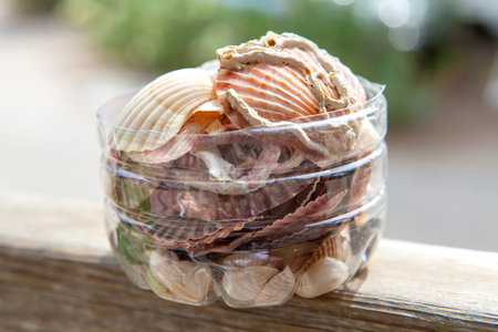 Plastic basket filled with shells found on the beach