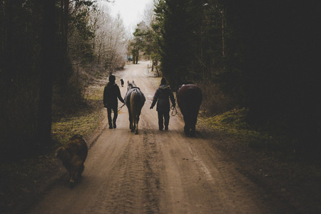 horses and owners walkingの写真素材