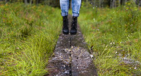 fun in the swampの写真素材